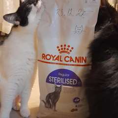 Фото отзыва 10812368