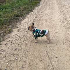 Фото отзыва 10561895