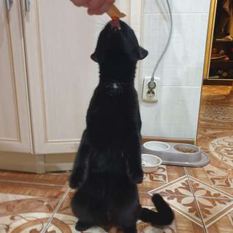 Лакомство для кошек Wanpy Cat 70 г тунец и креветки нежное пюре паучи: отзыв пользователя. Зоомагазин Зоозавр