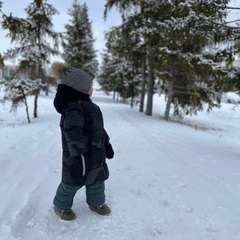 Фото отзыва 8727962