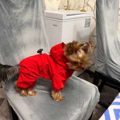 Фото отзыва 10587303