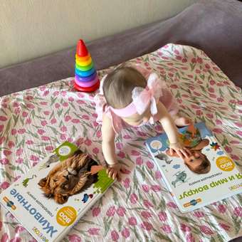 Комплект говорящих книжек BertToys Большие Нажималки: Я и мир вокруг + Животные: отзыв пользователя Детский Мир