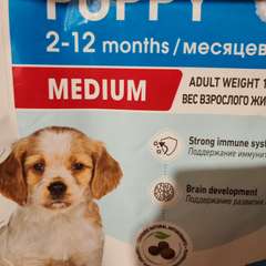 Фото отзыва 10965185