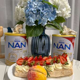 Смесь сухая NAN Supreme молочная 0-12 мес 800 г: отзыв пользователя ДетМир