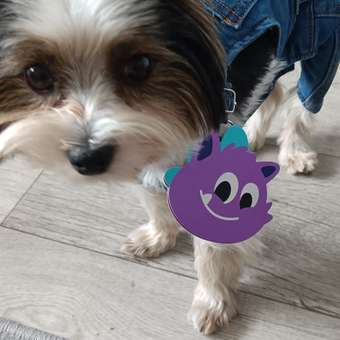 Полукомбинезон для собак и кошек Зоозавр: отзыв пользователя. Зоомагазин Зоозавр