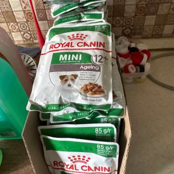 Корм для собак ROYAL CANIN Mini Ageing 12+ для стареющих собак мелких размеров 85г: отзыв пользователя. Зоомагазин Зоозавр