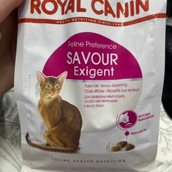 Корм сухой для кошек ROYAL CANIN Exigent Savour 400г привередливых к вкусу продукта: отзыв пользователя. Зоомагазин Зоозавр
