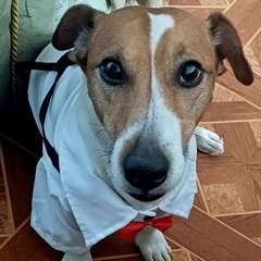 Фото отзыва 11171440