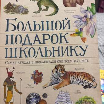 Книга Росмэн Большой подарок школьнику: отзыв пользователя Детский Мир
