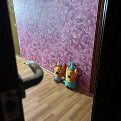 Фото отзыва 10632373