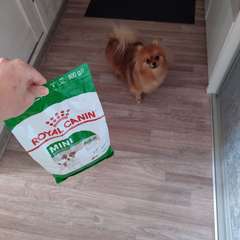 Фото отзыва 10459738