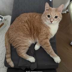 Фото отзыва 11097406