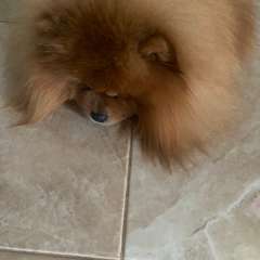 Фото отзыва 10534467