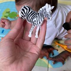 Фото отзыва 10493473