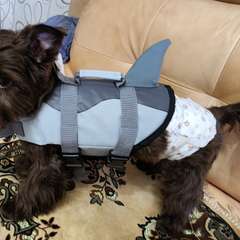 Фото отзыва 10747208