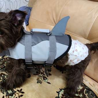 Спасательный жилет SuperPets для собаки для плавания: отзыв пользователя. Зоомагазин Зоозавр