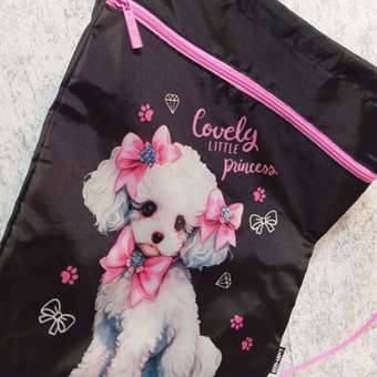 Мешок для обуви Erhaft Пудель: отзыв пользователя Детский Мир