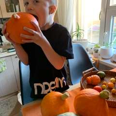 Фото отзыва 10465270