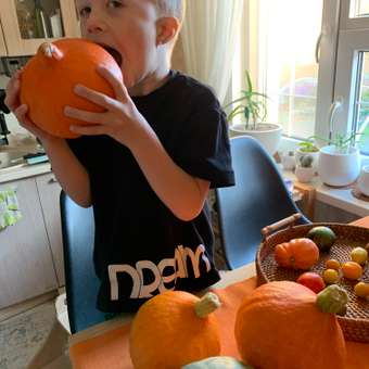 Футболка BH brand: отзыв пользователя Детский Мир