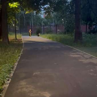 Самокат Kreiss двухколесный: отзыв пользователя ДетМир