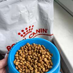 Фото отзыва 10902453