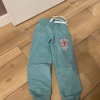 Брюки ELEMENTARNO: отзыв пользователя Детский Мир