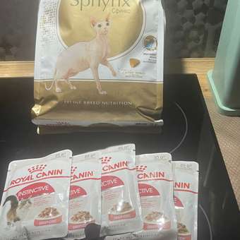 Корм сухой для кошек ROYAL CANIN Sphynx 2кг породы сфинк: отзыв пользователя. Зоомагазин Зоозавр