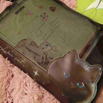 Папка для тетрадей Феникс + Принцесса луна А4: отзыв пользователя Детский Мир