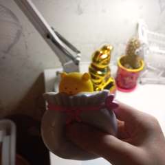 Фото отзыва 10715438