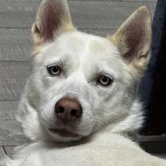 Фото отзыва 10643411