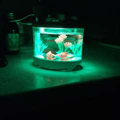 Фото отзыва 10609955