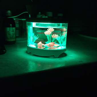 Увлажнитель Attivio Аквариум: отзыв пользователя Детский Мир