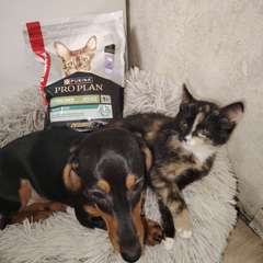 Фото отзыва 10724388