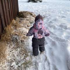 Фото отзыва 10964798