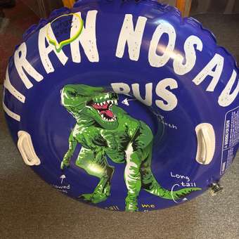 Тюбинг динозавр SXRide динозавр JLW01 80х80х22 см: отзыв пользователя Детский Мир