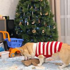 Фото отзыва 10833333