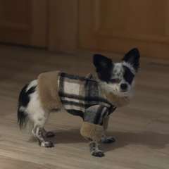 Фото отзыва 10714007