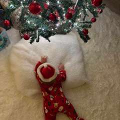 Фото отзыва 10944328