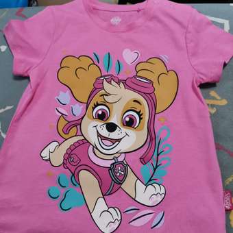 Футболка Paw Patrol: отзыв пользователя ДетМир