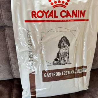 Корм для щенков ROYAL CANIN Gastro Intestinal Junior GIJ29 при нарушениях пищеварения 10кг: отзыв пользователя. Зоомагазин Зоозавр
