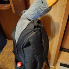 Фото отзыва 4875714