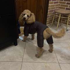 Фото отзыва 10458725