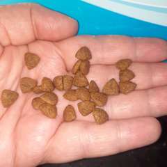 Фото отзыва 10909866