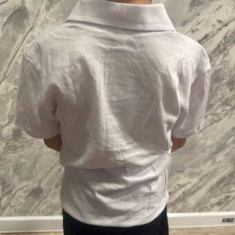 Футболка-поло Утенок: отзыв пользователя Детский Мир