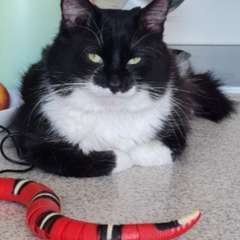 Фото отзыва 10905464