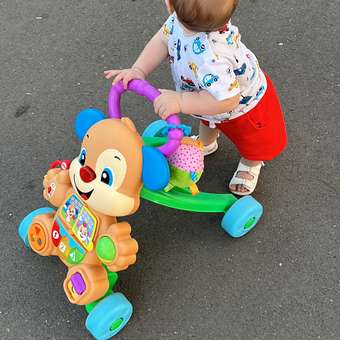 Ходунки Fisher Price Ученый Щенок с ручкой: отзыв пользователя ДетМир