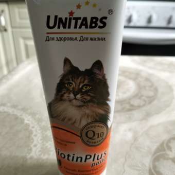 Витамины для кошек Unitabs Steril Cat с Q10 паста 120мл: отзыв пользователя. Зоомагазин Зоозавр
