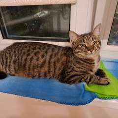 Фото отзыва 10047274