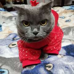 Фото отзыва 10616841