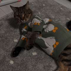 Фото отзыва 10585149